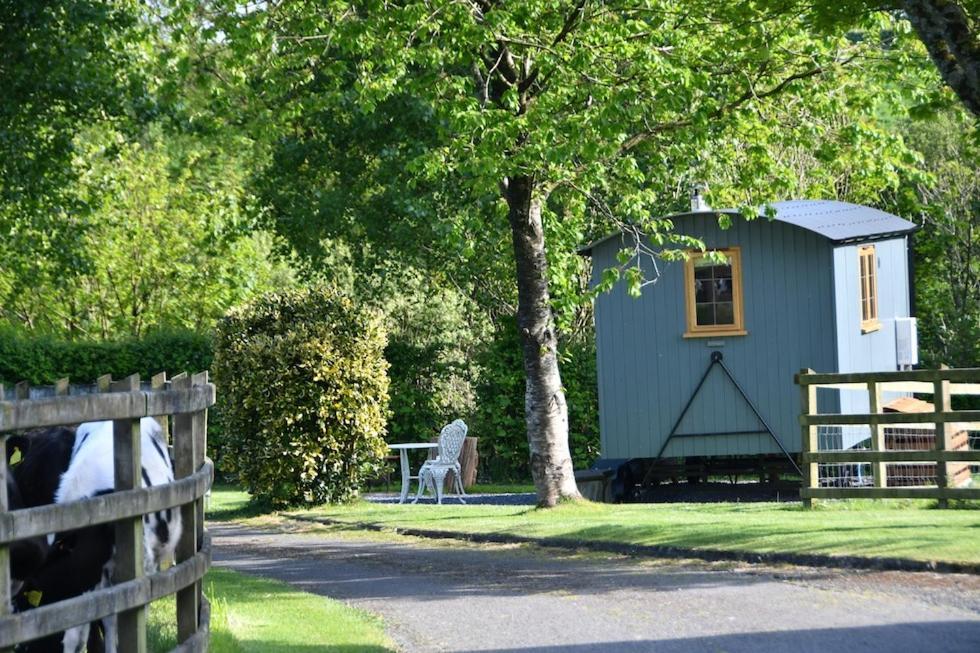 The Shepherds Hut Carmarthen Kültér fotó